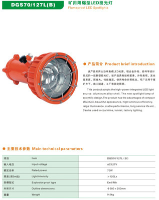 DGS70/127L(B)矿用隔爆型LED投光灯 - DGS70/127L(B)矿用隔爆型LED投光灯厂家 - DGS70/127L(B)矿用隔爆型LED投光灯价格 - 浙江正安防爆电气 - 